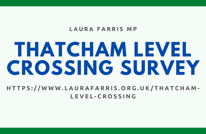 Thatcham Level Crossing Survey